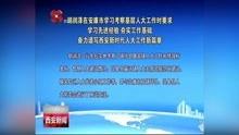 西安新闻爆料投稿平台,聚焦城市脉搏，共筑舆论监督桥梁