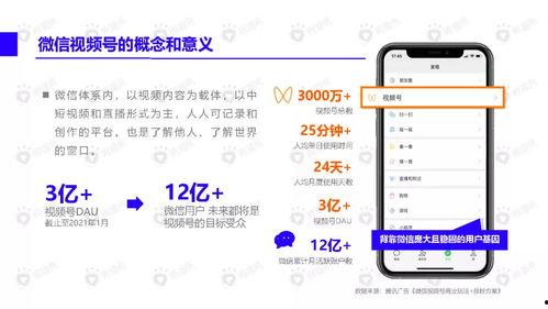 爆料小故事动画视频下载,爆料小故事背后的下载奥秘 第3张 爆料小故事动画视频下载,爆料小故事背后的下载奥秘 第3张
