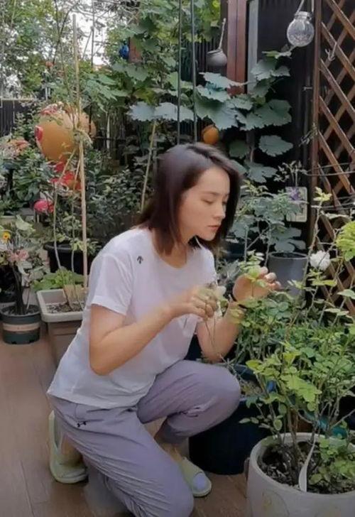 林里的果儿邻居爆料视频,神秘事件背后的真相 第2张 林里的果儿邻居爆料视频,神秘事件背后的真相 第2张