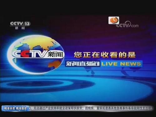 今日佛山爆料新闻直播回放,聚焦城市动态与民生热点