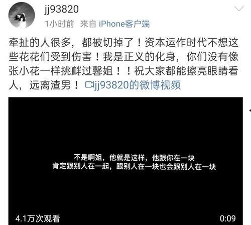 冠军助理爆料视频大全集,揭秘视频大全集精彩瞬间