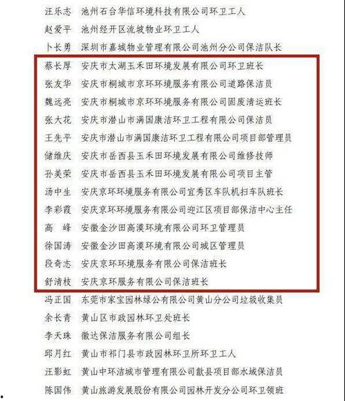 岳西最新爆料消息新闻,揭秘重大事件背后真相