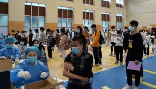 开封小学爆料事件最新消息,最新进展及影响深度解析 第3张 开封小学爆料事件最新消息,最新进展及影响深度解析 第3张