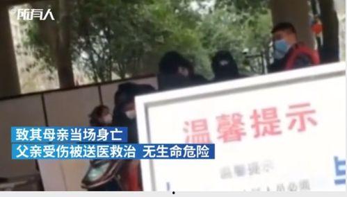 柬埔寨周一爆料事件视频,视频揭露惊人真相