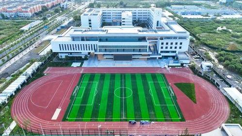 育红中学最新爆料消息,揭秘校园风云背后的真相