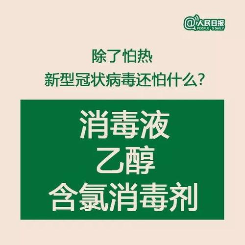 新型冠状病毒最新爆料 第2张 新型冠状病毒最新爆料 第2张