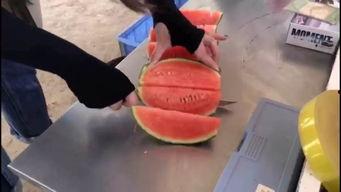 娱乐吃瓜群众集合视频,吃瓜群众视角下的精彩瞬间  第3张