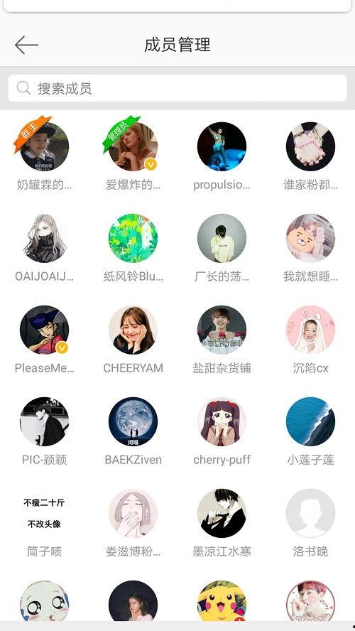 吃瓜免费群qq,畅享娱乐盛宴的秘密通道  第1张