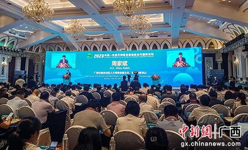 新闻爆料桂林论坛,揭秘背后真相 第1张 新闻爆料桂林论坛,揭秘背后真相 第1张