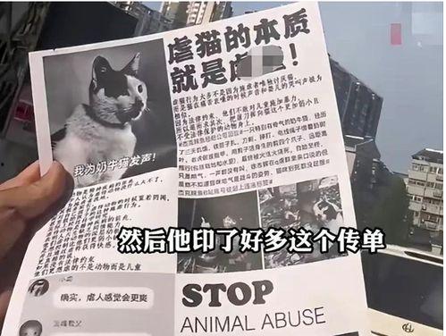 杰克辣条爆料视频大全,揭秘幕后真相与精彩瞬间  第2张