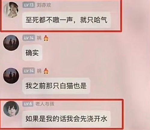 杰克辣条爆料视频大全,揭秘幕后真相与精彩瞬间  第3张