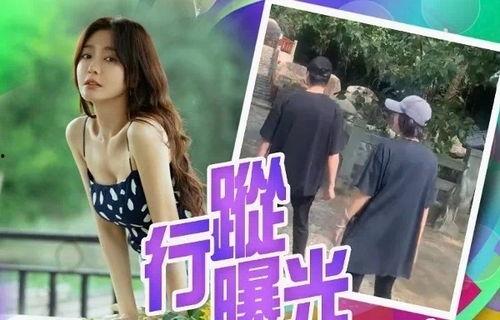 秦岚爆料杨幂视频大全集,视频大全集深度解析  第3张