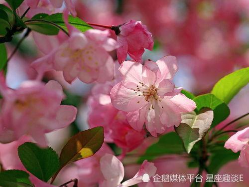 小鱼海棠被爆料的视频,幕后制作过程大公开  第2张