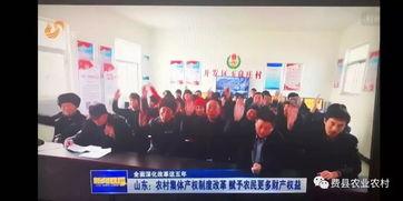 费县新闻爆料网,聚焦本土热点,传递最新资讯 第2张 费县新闻爆料网,聚焦本土热点,传递最新资讯 第2张