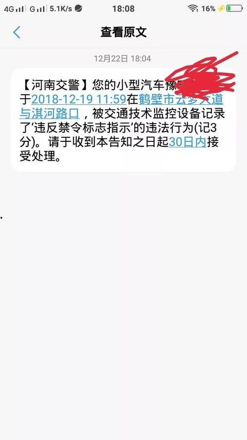 鹤壁热点爆料新闻最新,考古新发现引专家热议  第1张