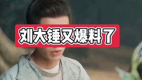 刘大锤早期爆料视频,揭秘娱乐圈不为人知的幕后真相  第3张