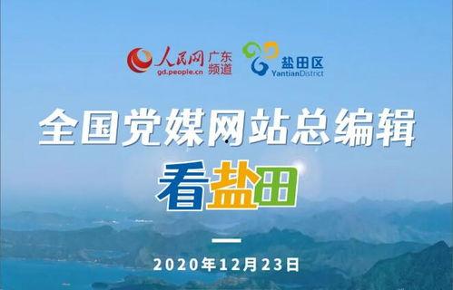 盐田新闻爆料网站大全,一网打尽本地资讯平台  第2张