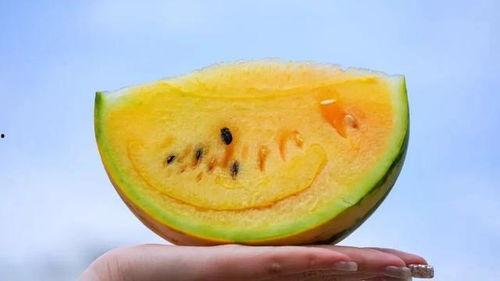 如何免费获得吃瓜,轻松享受美食盛宴 第2张 如何免费获得吃瓜,轻松享受美食盛宴 第2张