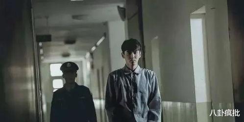 娱乐圈吃瓜电影,揭秘那些年我们吃过的瓜与热辣电影  第2张