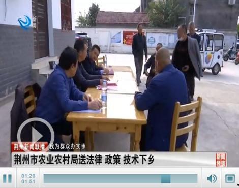 三桥最新爆料消息新闻,揭秘重大新闻背后的真相与内幕 第1张 三桥最新爆料消息新闻,揭秘重大新闻背后的真相与内幕 第1张