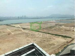 铲子最新爆料,最新爆料背后的惊人真相 第3张 铲子最新爆料,最新爆料背后的惊人真相 第3张