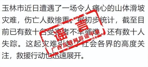 广西事件爆料最新消息新闻,真相逐步浮出水面 第3张 广西事件爆料最新消息新闻,真相逐步浮出水面 第3张
