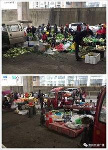 半山小镇爆料最新消息视频,揭秘神秘视频背后的惊人真相  第2张