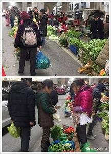 半山小镇爆料最新消息视频,揭秘神秘视频背后的惊人真相  第3张