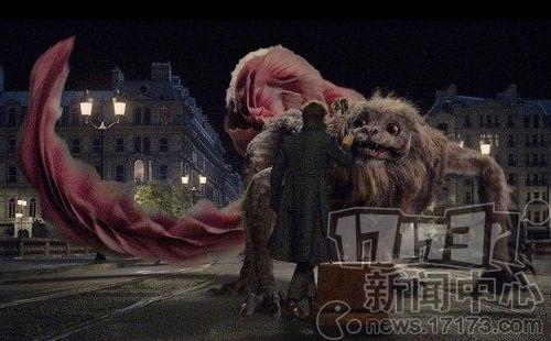 11月神奇动物爆料视频,11月爆料视频深度解析