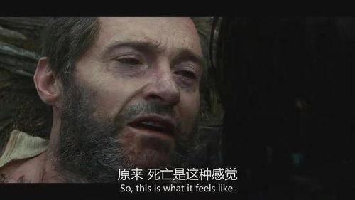 金刚狼3在线观看网站,殊死一战在线观影指南:揭秘最佳观影平台 第3张 金刚狼3在线观看网站,殊死一战在线观影指南:揭秘最佳观影平台 第3张