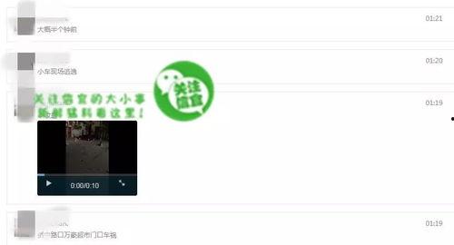 网络爆料去哪里看啊视频,如何轻松观看“只看视频”生成概述