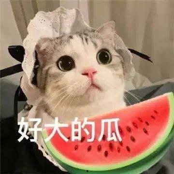 网红君君吃瓜微博,揭秘娱乐圈幕后故事，带你领略网红圈真实一面