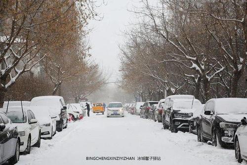 哈尔滨下雪爆料视频大全