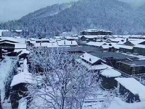 哈尔滨下雪爆料视频大全  第3张