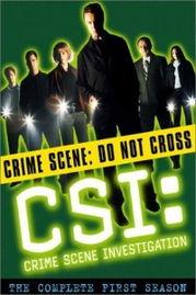 csi 在线观看,罪案现场，真相大揭秘  第2张