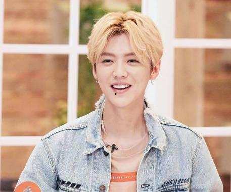 鹿晗家世爆料出门保镖视频,豪华保镖阵容守护，出门出行尽显巨星风范  第2张