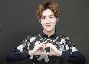 鹿晗家世爆料出门保镖视频,豪华保镖阵容守护，出门出行尽显巨星风范  第3张