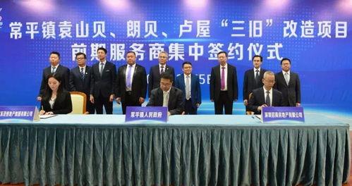 东莞常平新闻爆料最新