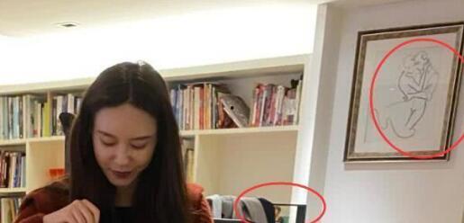 张大奕和蒋凡最新爆料,最新爆料揭露惊人内幕！”