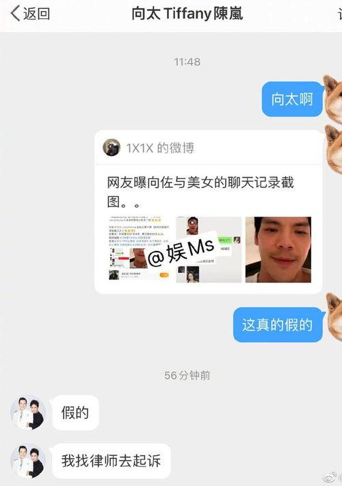 网红爆料向佐是谁啊视频,向佐是谁？