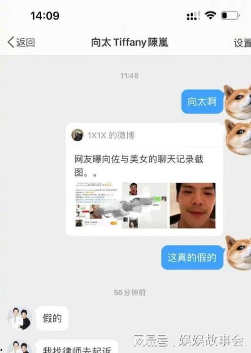 网红爆料向佐是谁啊视频,向佐是谁？  第2张