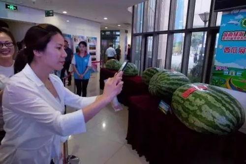 临县吃瓜事件最新爆料新闻,最新爆料揭露惊人内幕 第3张 临县吃瓜事件最新爆料新闻,最新爆料揭露惊人内幕 第3张