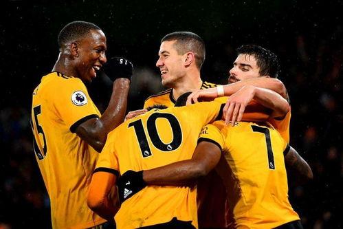 狼队圈内爆料视频在哪看,独家观看途径大公开 第2张 狼队圈内爆料视频在哪看,独家观看途径大公开 第2张