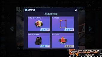 探索兄弟爆料视频大全,视频大全背后的精彩瞬间  第3张