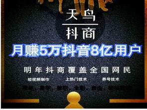 怎么爆料新闻到抖音,如何高效传播社会热点  第3张