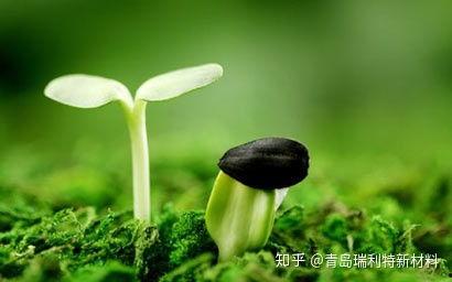 新植物预告爆料视频,神秘植物即将登陆游戏世界 第3张 新植物预告爆料视频,神秘植物即将登陆游戏世界 第3张