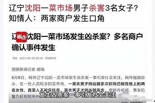辽宁大事件爆料视频,揭秘辽宁近年来的重大新闻与热点事件  第3张