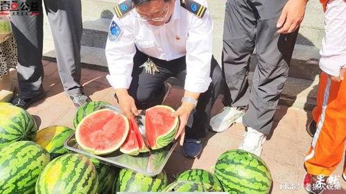 宜都网红吃瓜事件视频 第2张 宜都网红吃瓜事件视频 第2张