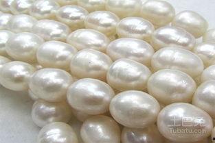 淡水珍珠爆料视频,独家爆料视频深度解析