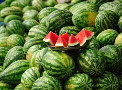 康县网红吃瓜十分钟,十分钟带你领略当地风情 第2张 康县网红吃瓜十分钟,十分钟带你领略当地风情 第2张